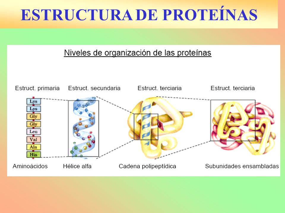 Clasificaci n de las vitaminas - C mo se clasifican